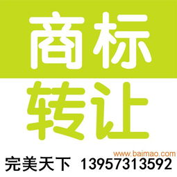 商標(biāo)轉(zhuǎn)讓全攻略 從選擇到入駐天貓，一站式解析